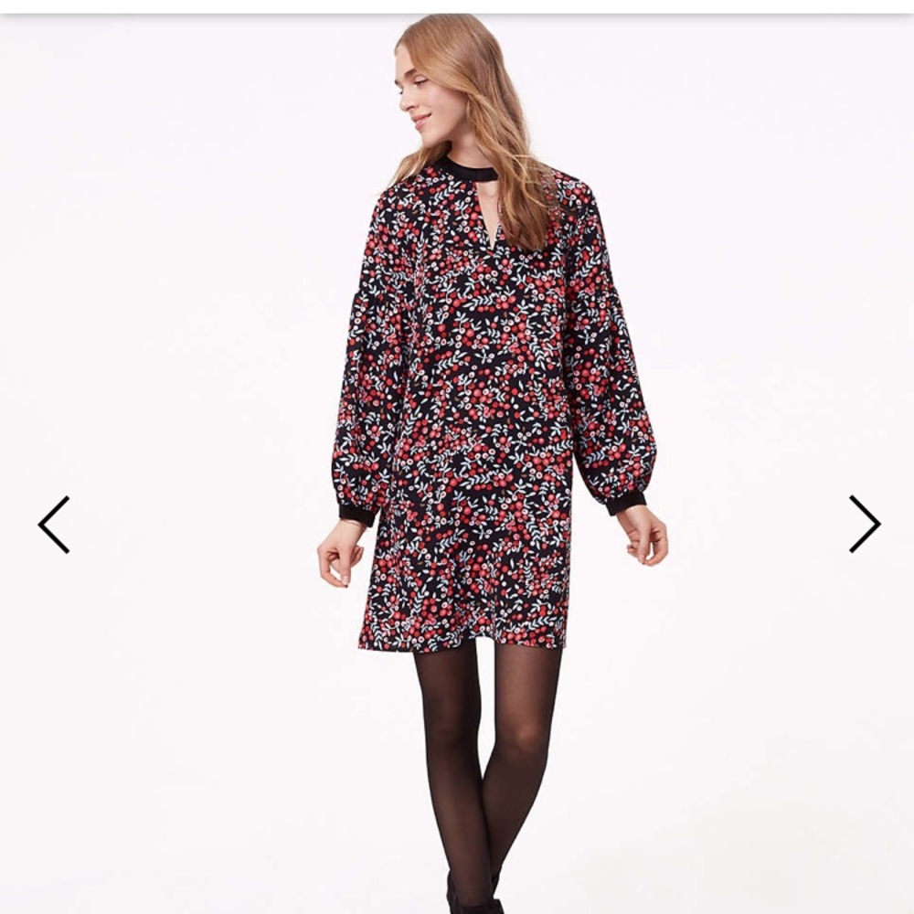 Loft Berry Velvet Dress